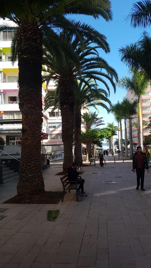 La Casa De La Playa Daire Puerto de la Cruz  Dış mekan fotoğraf